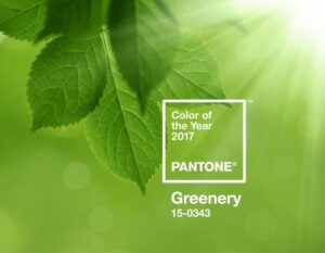 Pantone Greenery, couleur 2017, imprimerie