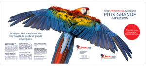 Photocopies couleurs d'un format ouvert de 25,5 pouces.